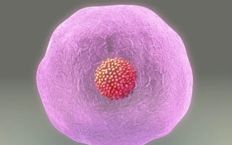 做試管嬰兒養(yǎng)囊失敗的原因是什么？