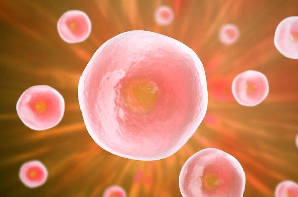 做試管為什么要晚上打針？打針步驟是什么？