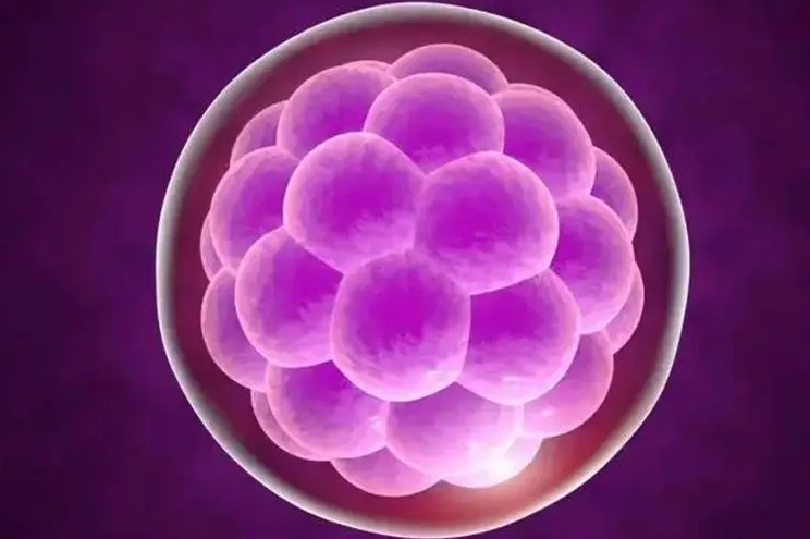 做移植手術(shù)需要子宮內(nèi)膜厚度達到多少？