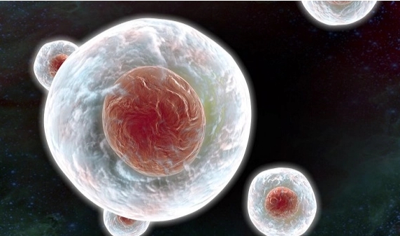 試管嬰兒建檔后多長時間可以進(jìn)周期？