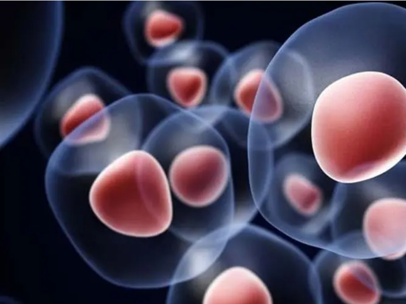 哺乳期女性能做試管嬰兒?jiǎn)?？有哪些注意事?xiàng)？