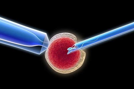 卵泡數(shù)量偏少的原因是什么？
