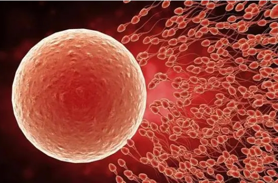  做試管冷凍后的胚胎可以拿去別的醫(yī)院進行移植嗎？