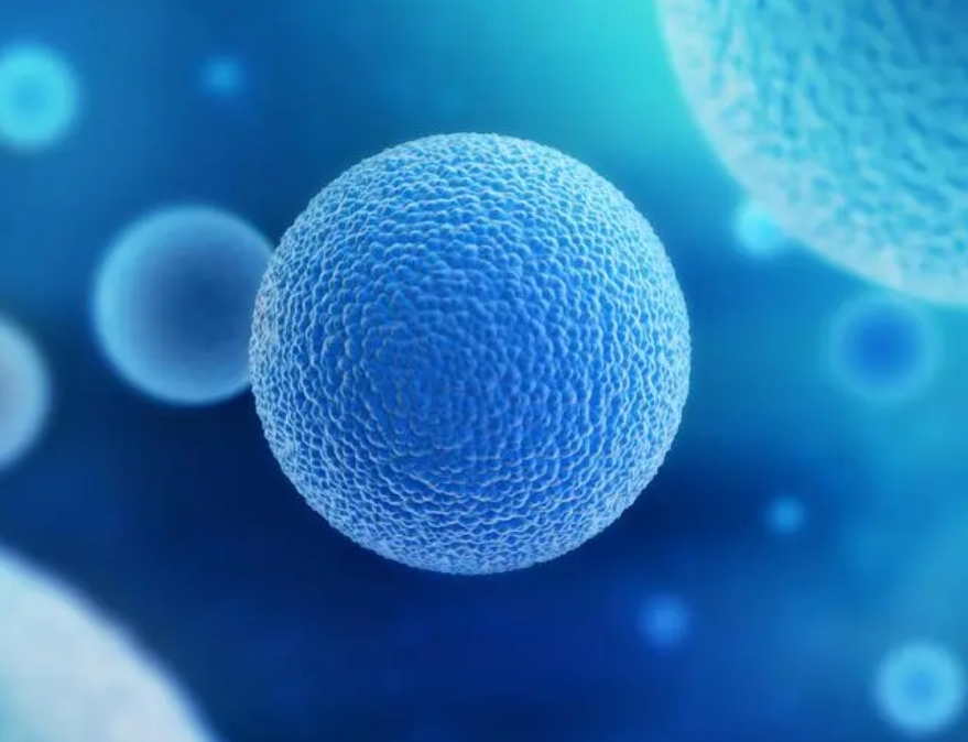 試管嬰兒養(yǎng)囊成功后需要繼續(xù)交冷凍費(fèi)用嗎？