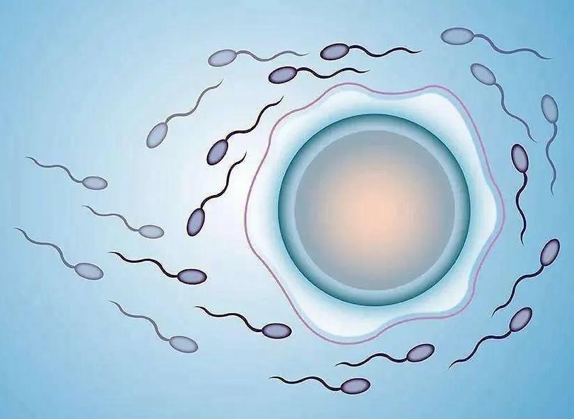 凍胚移植手術(shù)后出血是什么原因？