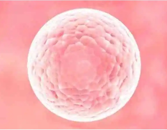 女性先天性無子宮可以做**手術(shù)嗎？