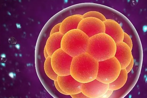 做試管必須要準備結婚證和準生證嗎？