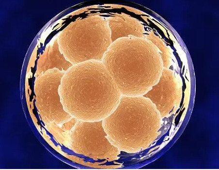 如何選擇做試管的時間？要考慮哪些因素？