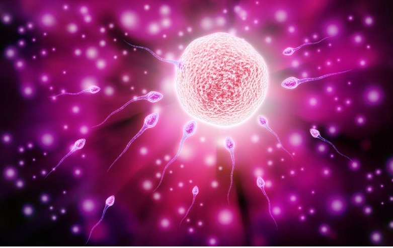 去泰國做試管嬰兒要找翻譯人員嗎？