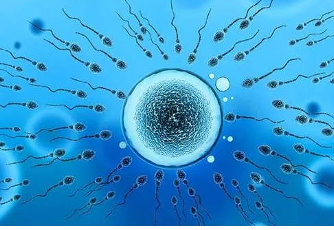 試管嬰兒的成功率是多少？影響因素是什么？