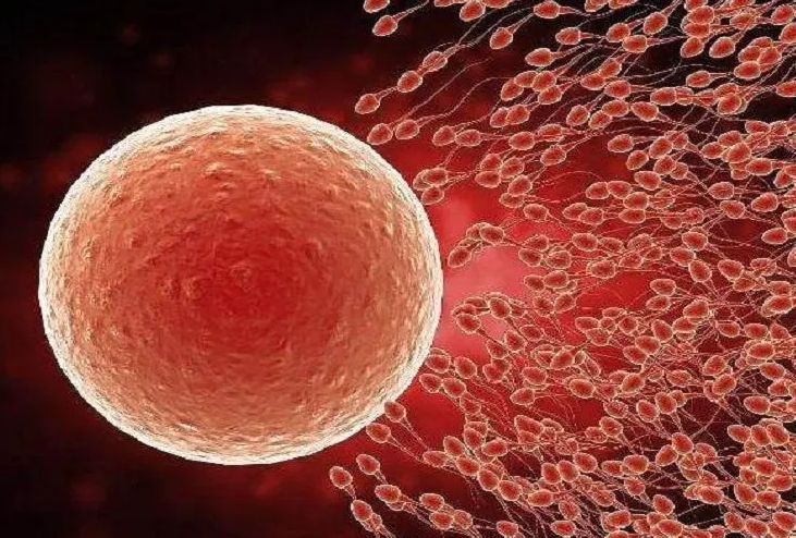 在公立醫(yī)院做絨毛穿刺要花費多少錢？