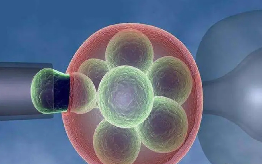 女性卵泡數量少如何懷孕生子？