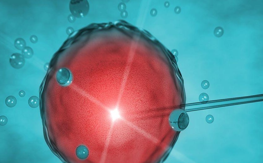 輕微的宮腔粘連會(huì)影響試管嬰兒的成功率嗎？