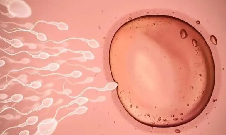  輸卵管結(jié)扎后想懷孕應(yīng)該怎么做？