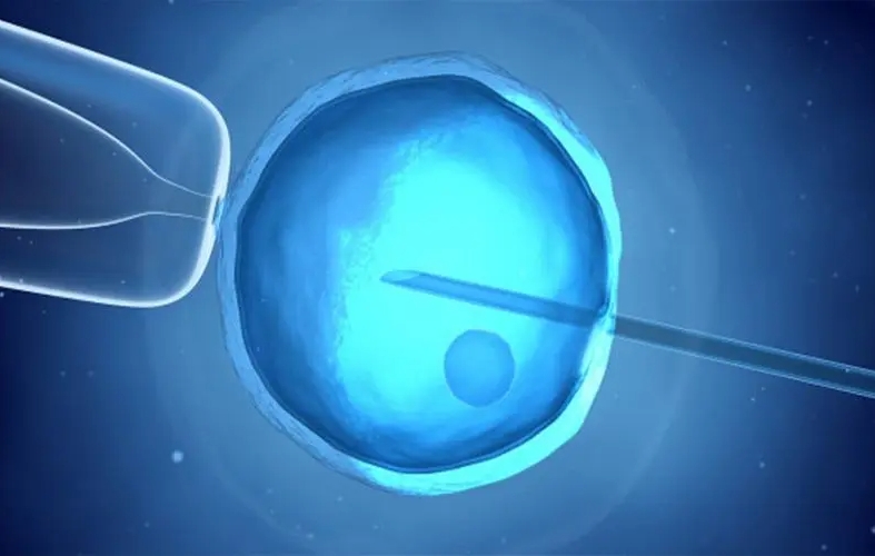 試管移植后出血是什么原因？是正?，F(xiàn)象嗎？