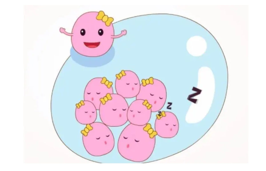 做試管胚胎不能著床跟自身的免疫力有關(guān)系嗎？