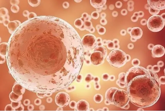 長效達(dá)必佳治療巧克力囊腫有用嗎？