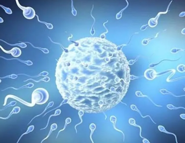 試管嬰兒長方案的適用人群是什么？