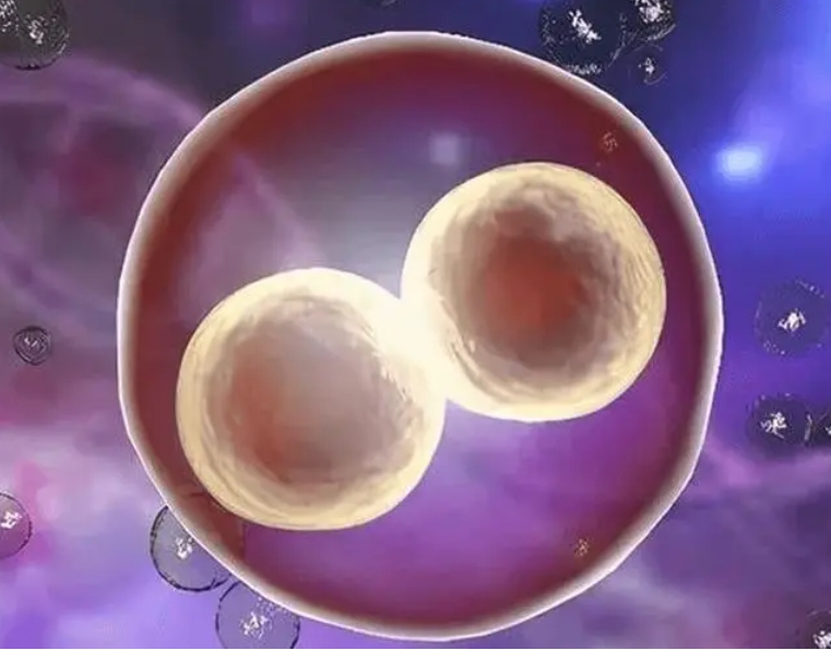 患有輸卵管炎做試管拮抗劑方案可以生育嗎？