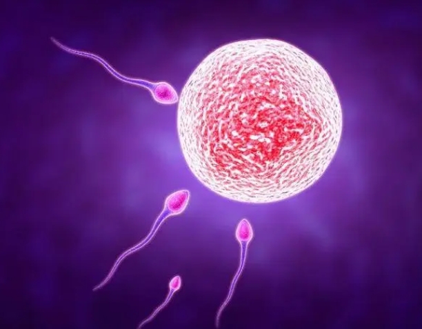 隱睪癥患者做試管嬰兒可以成功嗎？