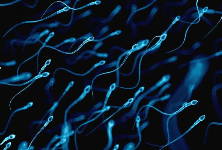  做試管打排卵針應(yīng)該選皮下注射還是肌肉注射？