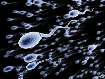 做試管嬰兒移植不吃藥會(huì)有什么影響？