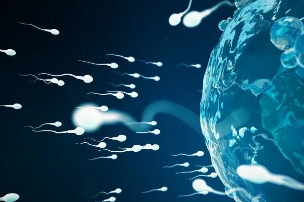 做試管嬰兒長(zhǎng)方案會(huì)導(dǎo)致提前排卵嗎？