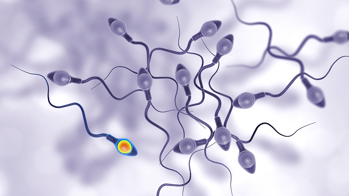  做輸卵管造影對(duì)女性身體有哪些副作用？
