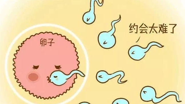 試管移植手術(shù)后肩胛骨疼是正常的身體反應(yīng)嗎？