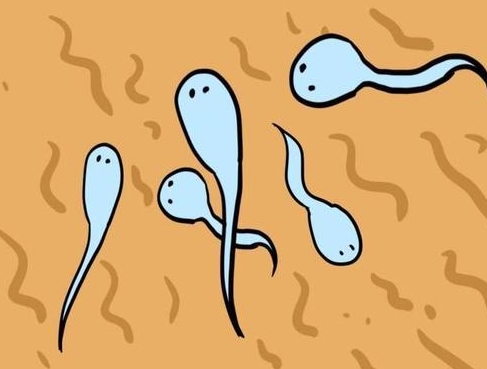 女性閉經(jīng)做試管嬰兒對成功率有影響嗎？