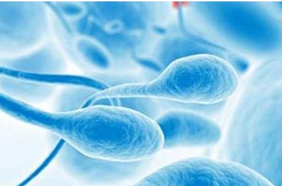 患有輕微腎炎還能做試管嬰兒?jiǎn)幔? /></div>
					</div>
					<div   id=