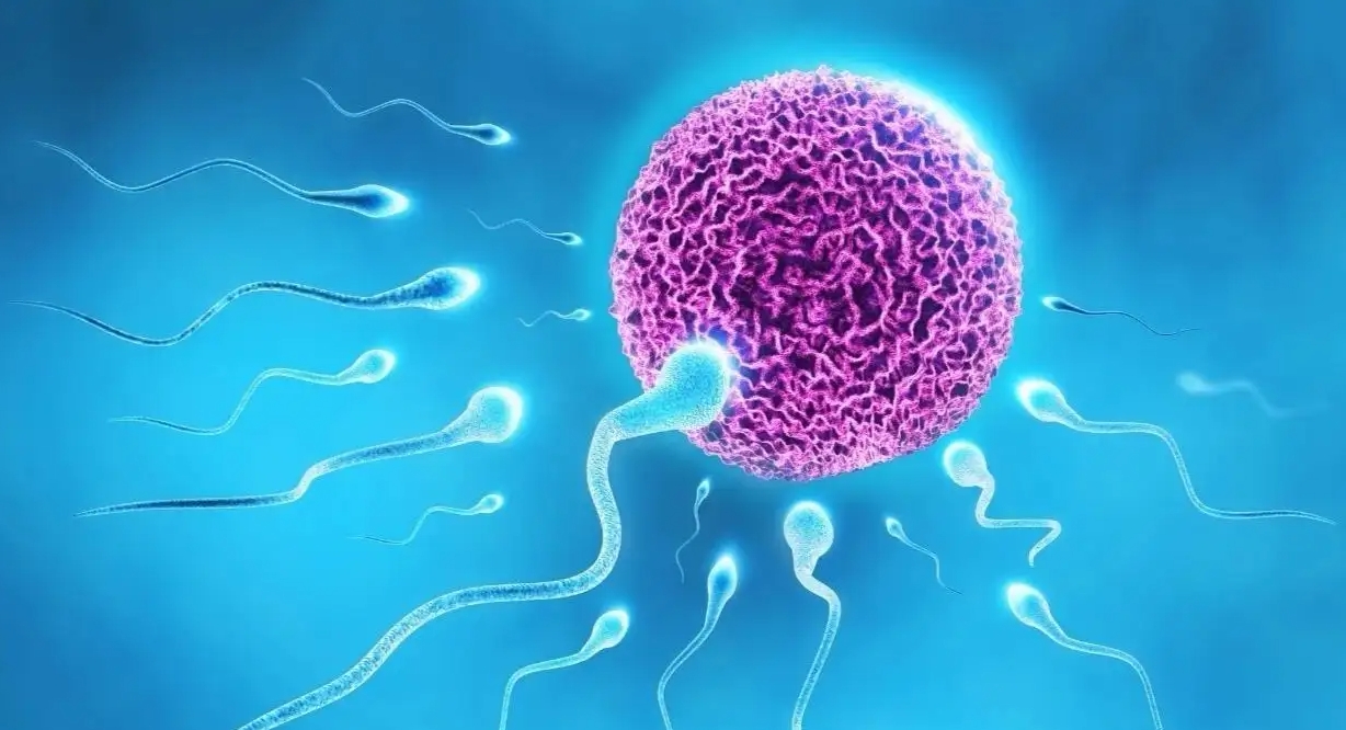 買曲普瑞林的費(fèi)用貴嗎？購(gòu)買途徑是什么？