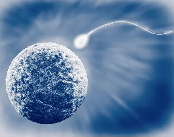 女性輸卵管阻塞想生孩子要做試管嬰兒嗎？