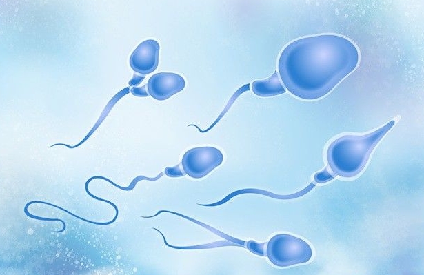 去美國做試管嬰兒要注意哪些方面的問題？