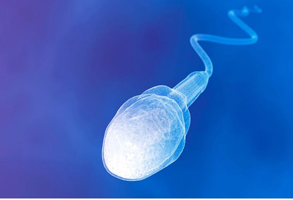 試管嬰兒長方案的成功率高嗎？影響因素是什么？