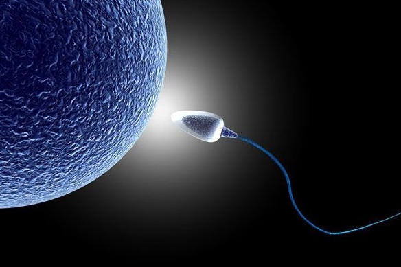 女性切除子宮后還會(huì)得宮外孕嗎？