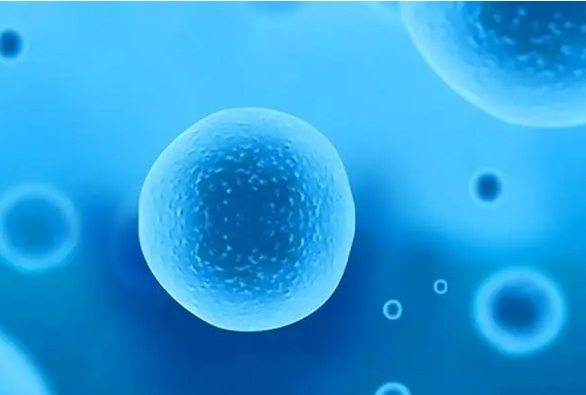 做完輸卵管手術(shù)后多長時間可以開始備孕？