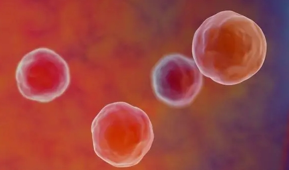 試管嬰兒移植后皰疹復(fù)發(fā)的處理方法是什么？