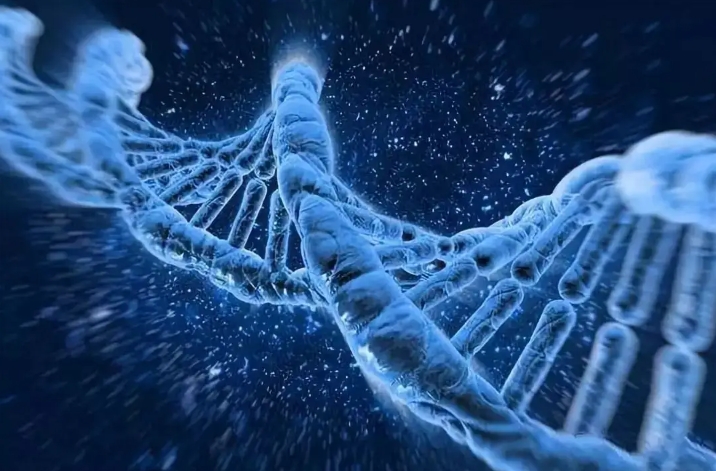  做試管嬰兒移植會導致耳鳴的癥狀嗎？