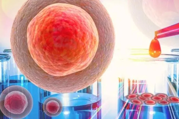 國內(nèi)二代試管和三代試管的成功率哪個更高？