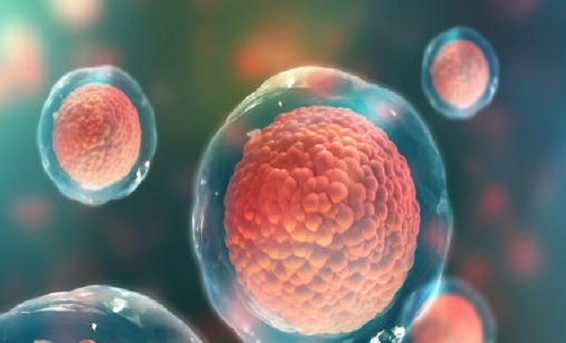 高齡閉經(jīng)女性可以去泰國做試管嬰兒生育嗎？