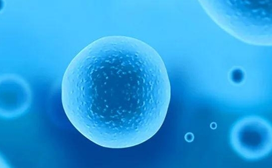  做試管嬰兒服用補(bǔ)樂佳有什么好處？