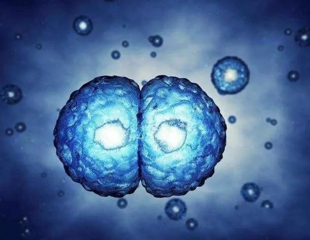 鮮胚移植后雌二醇每天都會下降是正常情況嗎