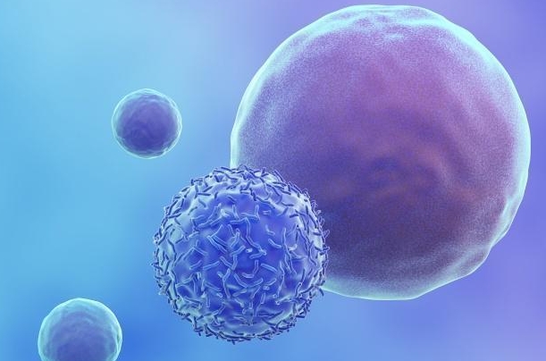  重度宮腔粘連做試管囊胚移植的成功率如何？