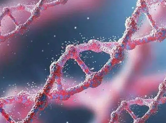 試管長方案和短方案哪個(gè)對(duì)身體的危害更大？