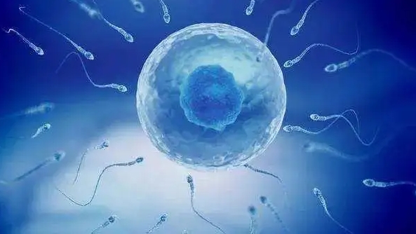  有輸卵管增粗的問題做試管會導(dǎo)致宮外孕嗎？