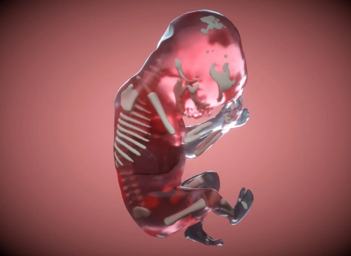 試管第三天胚胎長(zhǎng)得慢是胚胎質(zhì)量不好嗎？