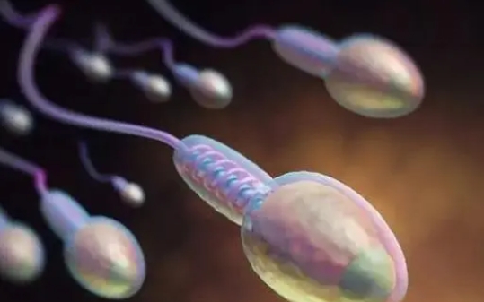 第一次試管手術(shù)失敗后多久能做第二次？