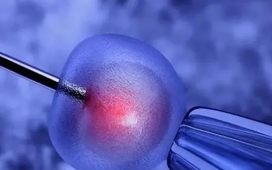 試管嬰兒養(yǎng)囊和鮮胚移植應(yīng)該如何選擇？