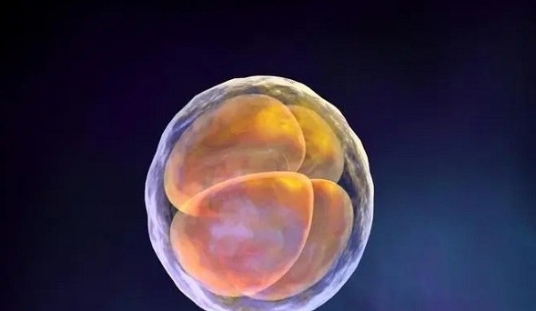 第三代試管技術(shù)可以篩選健康的胚胎避免遺傳病嗎？